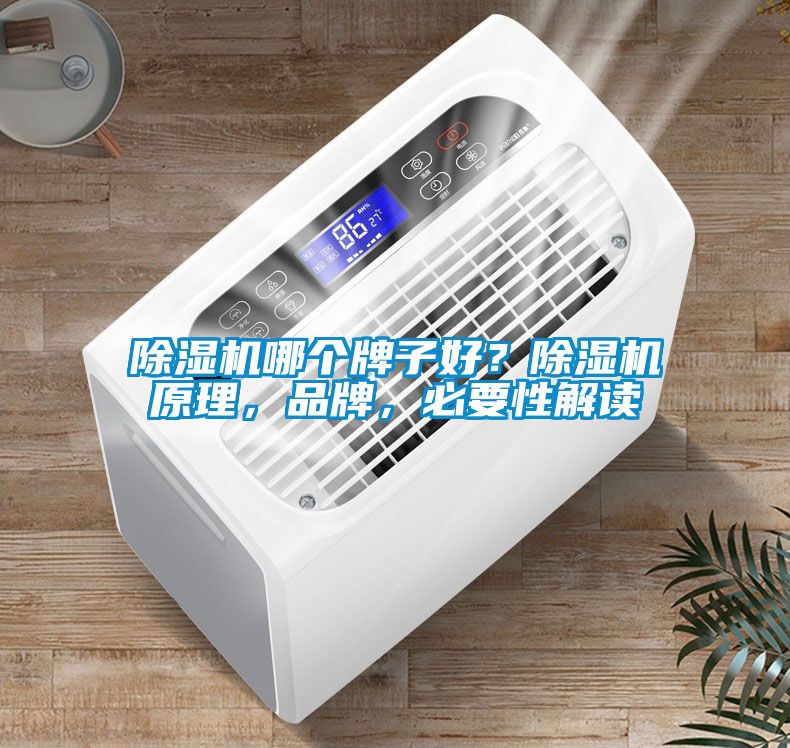 茄子视频懂你更多在线观看哪个牌子好？茄子视频懂你更多在线观看原理，品牌，必要性解读