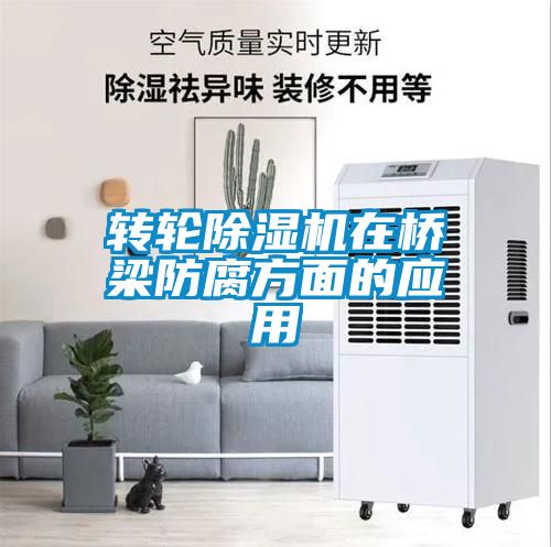转轮茄子视频懂你更多在线观看在桥梁防腐方面的应用