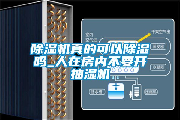 茄子视频懂你更多在线观看真的可以除湿吗_人在房内不要开抽湿机