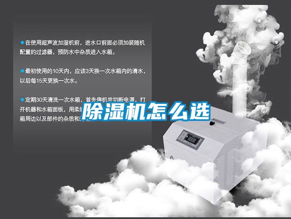 茄子视频懂你更多在线观看怎么选