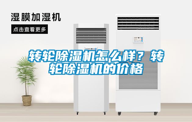 转轮茄子视频懂你更多在线观看怎么样？转轮茄子视频懂你更多在线观看的价格