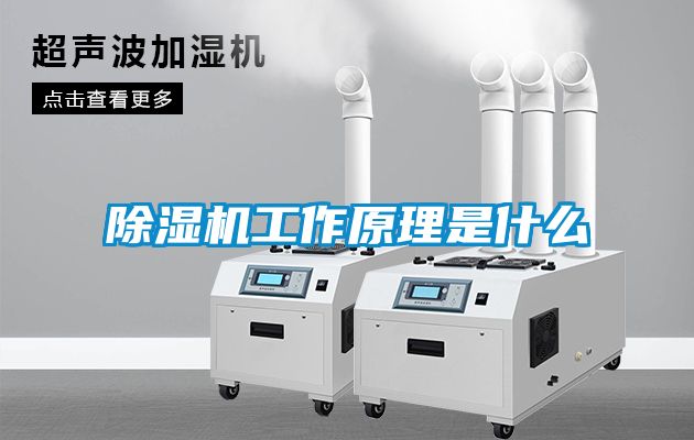茄子视频懂你更多在线观看工作原理是什么