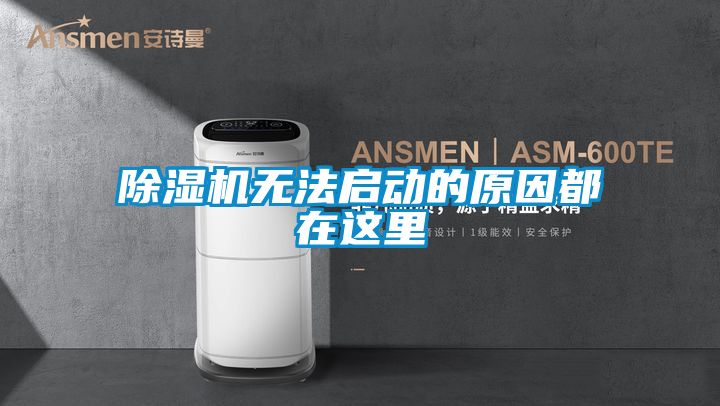 茄子视频懂你更多在线观看无法启动的原因都在这里