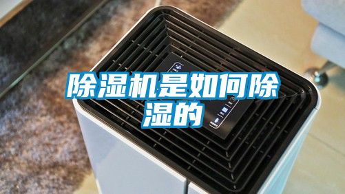 茄子视频懂你更多在线观看是如何除湿的