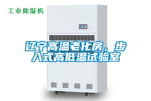 辽宁高温老化房，步入式高低温试验室