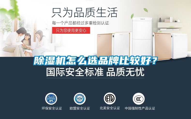 茄子视频懂你更多在线观看怎么选品牌比较好？