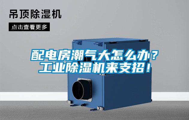配电房潮气大怎么办？工业茄子视频懂你更多在线观看来支招！