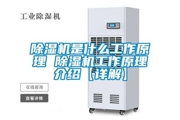 茄子视频懂你更多在线观看是什么工作原理 茄子视频懂你更多在线观看工作原理介绍【详解】