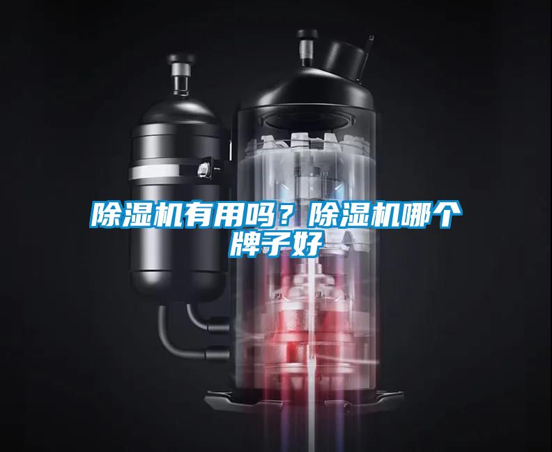 茄子视频懂你更多在线观看有用吗？茄子视频懂你更多在线观看哪个牌子好