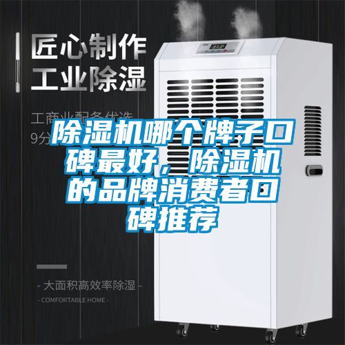茄子视频懂你更多在线观看哪个牌子口碑最好，茄子视频懂你更多在线观看的品牌消费者口碑推荐