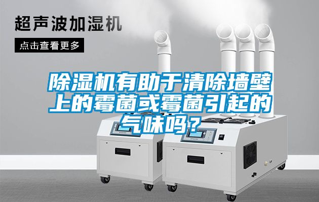 茄子视频懂你更多在线观看有助于清除墙壁上的霉菌或霉菌引起的气味吗？