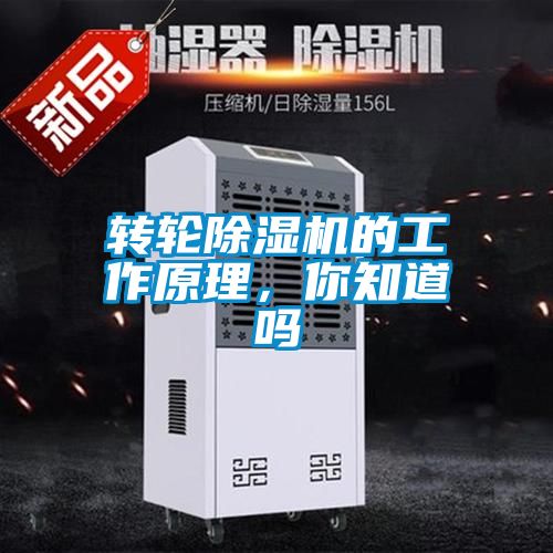 转轮茄子视频懂你更多在线观看的工作原理，你知道吗