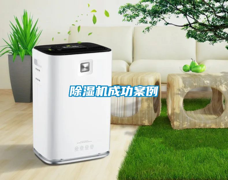茄子视频懂你更多在线观看成功案例