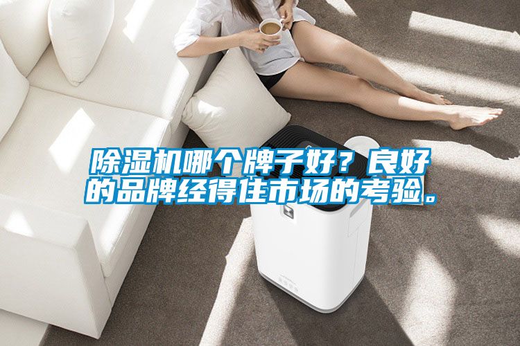 茄子视频懂你更多在线观看哪个牌子好？良好的品牌经得住市场的考验。