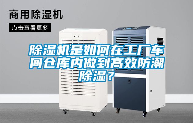 茄子视频懂你更多在线观看是如何在工厂车间仓库内做到高效防潮除湿？