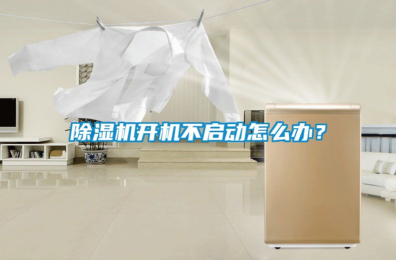 茄子视频懂你更多在线观看开机不启动怎么办？