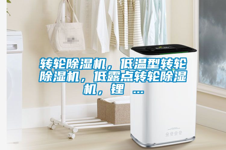 转轮茄子视频懂你更多在线观看，低温型转轮茄子视频懂你更多在线观看，低露点转轮茄子视频懂你更多在线观看，锂 ...