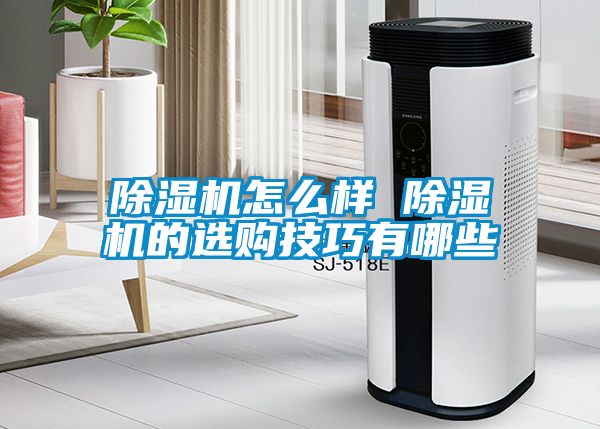 茄子视频懂你更多在线观看怎么样 茄子视频懂你更多在线观看的选购技巧有哪些