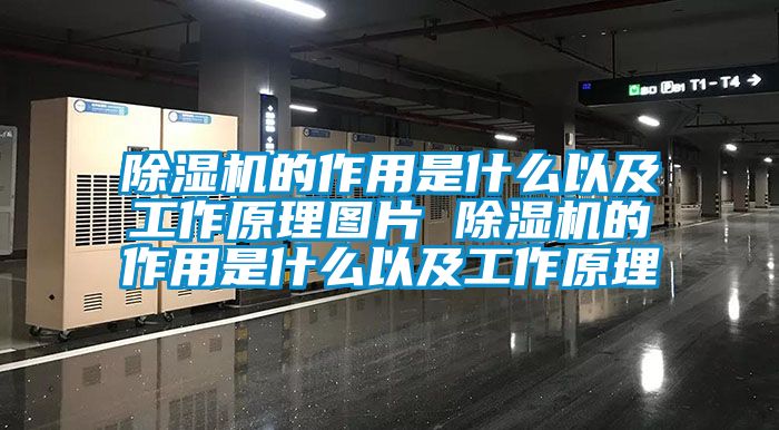 茄子视频懂你更多在线观看的作用是什么以及工作原理图片 茄子视频懂你更多在线观看的作用是什么以及工作原理