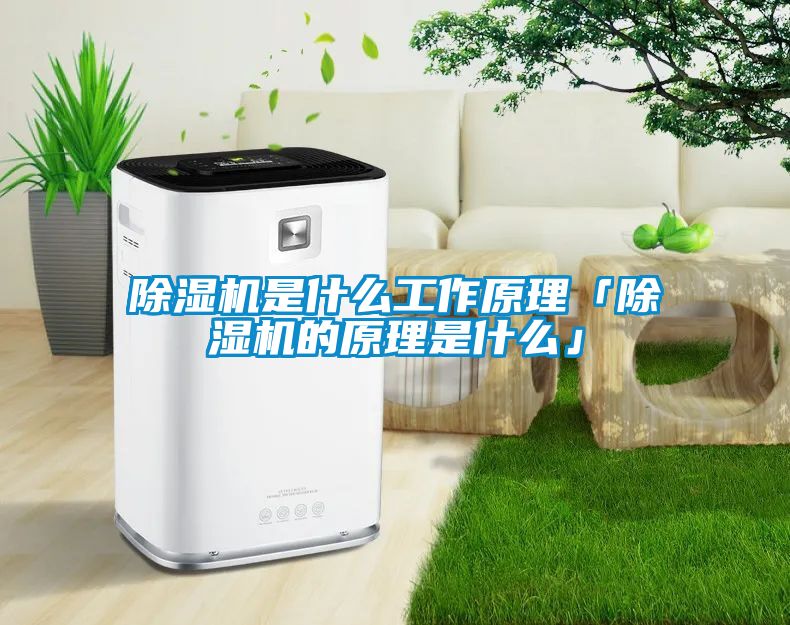 茄子视频懂你更多在线观看是什么工作原理「茄子视频懂你更多在线观看的原理是什么」