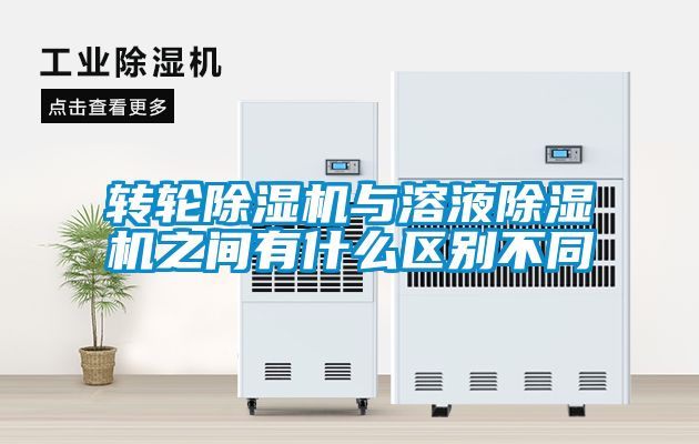 转轮茄子视频懂你更多在线观看与溶液茄子视频懂你更多在线观看之间有什么区别不同