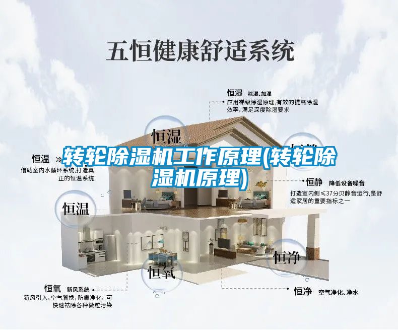 转轮茄子视频懂你更多在线观看工作原理(转轮茄子视频懂你更多在线观看原理)