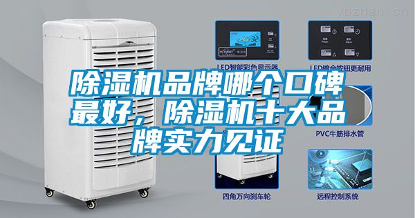 茄子视频懂你更多在线观看品牌哪个口碑最好，茄子视频懂你更多在线观看十大品牌实力见证