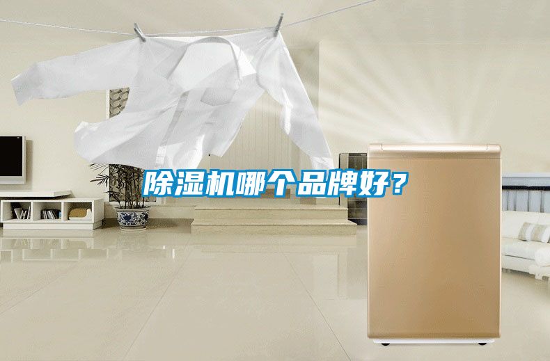 茄子视频懂你更多在线观看哪个品牌好？