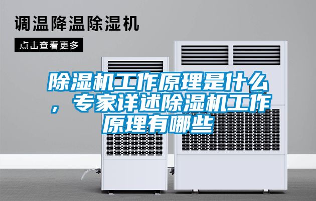 茄子视频懂你更多在线观看工作原理是什么，专家详述茄子视频懂你更多在线观看工作原理有哪些