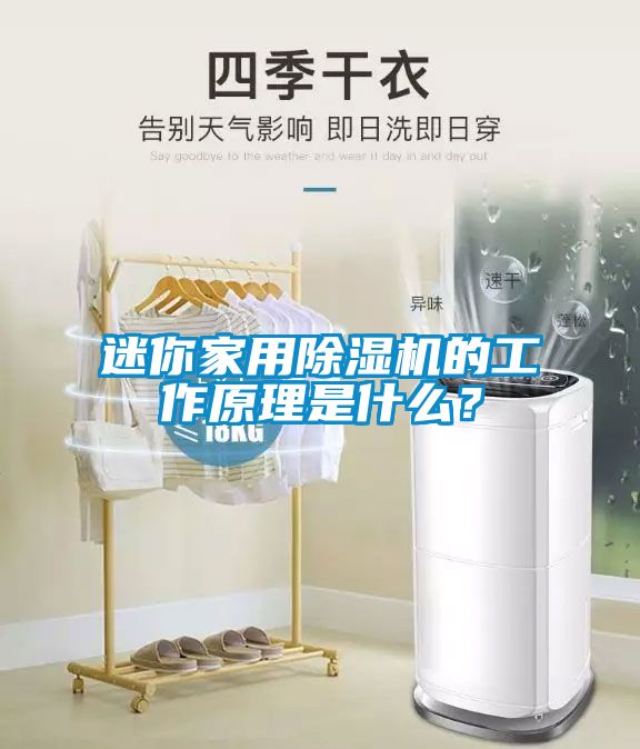 迷你家用茄子视频懂你更多在线观看的工作原理是什么？