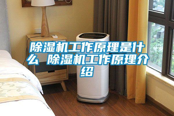 茄子视频懂你更多在线观看工作原理是什么 茄子视频懂你更多在线观看工作原理介绍