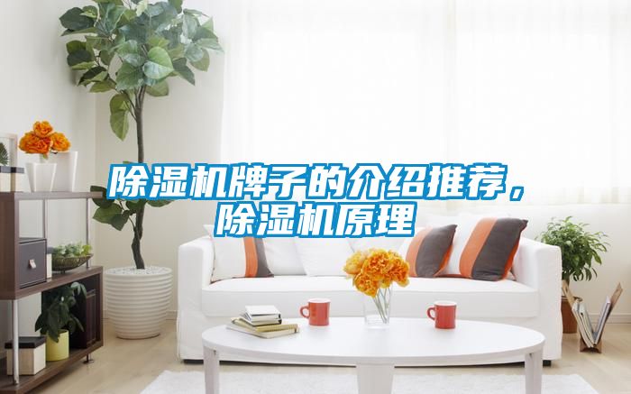 茄子视频懂你更多在线观看牌子的介绍推荐，茄子视频懂你更多在线观看原理