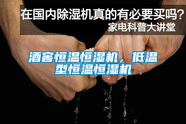 酒窖恒温恒湿机，低温型恒温恒湿机