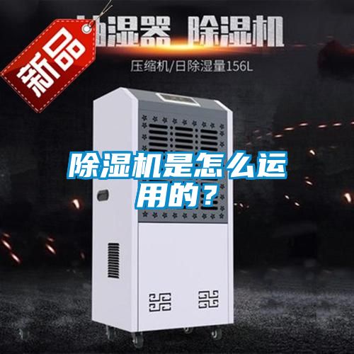 茄子视频懂你更多在线观看是怎么运用的？