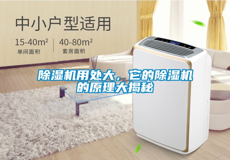 茄子视频懂你更多在线观看用处大，它的茄子视频懂你更多在线观看的原理大揭秘
