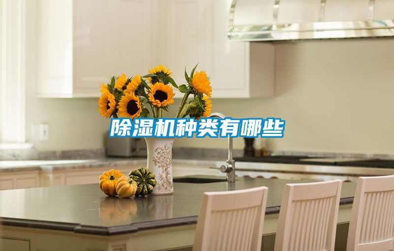 茄子视频懂你更多在线观看种类有哪些