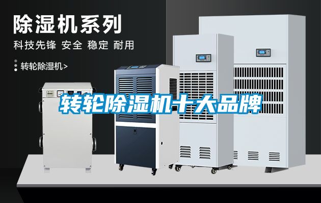转轮茄子视频懂你更多在线观看十大品牌