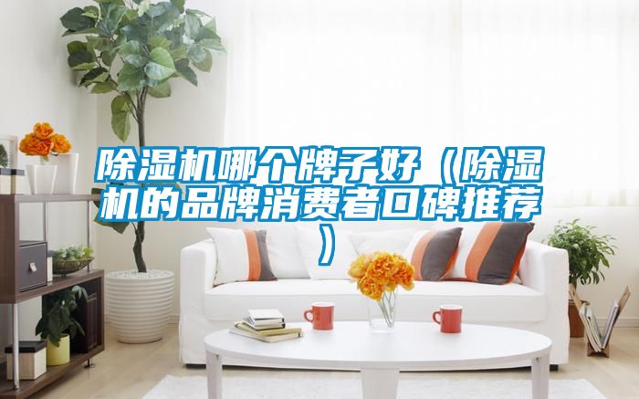 茄子视频懂你更多在线观看哪个牌子好（茄子视频懂你更多在线观看的品牌消费者口碑推荐）