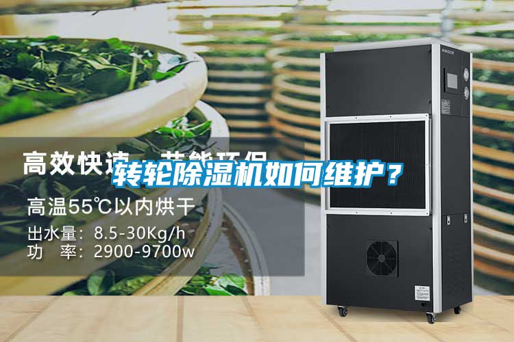 转轮茄子视频懂你更多在线观看如何维护？