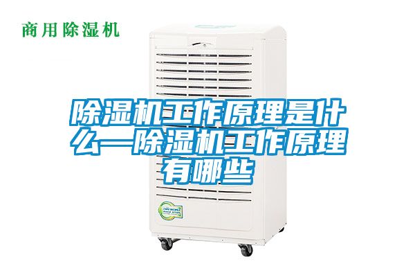 茄子视频懂你更多在线观看工作原理是什么—茄子视频懂你更多在线观看工作原理有哪些