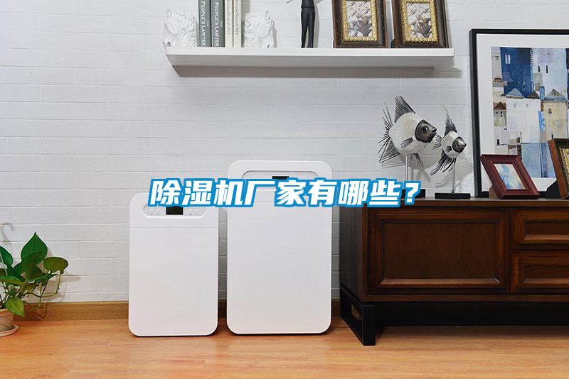 茄子视频懂你更多在线观看厂家有哪些？