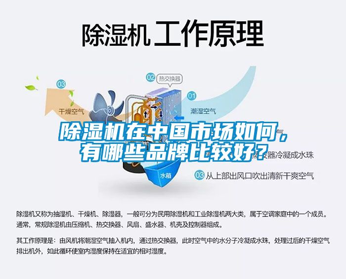 茄子视频懂你更多在线观看在中国市场如何，有哪些品牌比较好？
