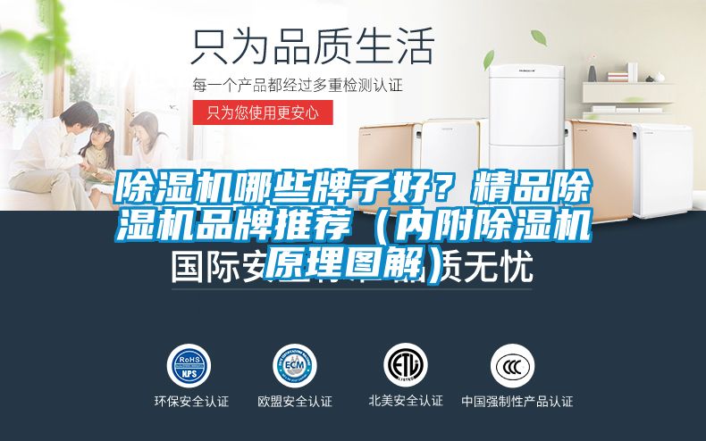 茄子视频懂你更多在线观看哪些牌子好？精品茄子视频懂你更多在线观看品牌推荐（内附茄子视频懂你更多在线观看原理图解）