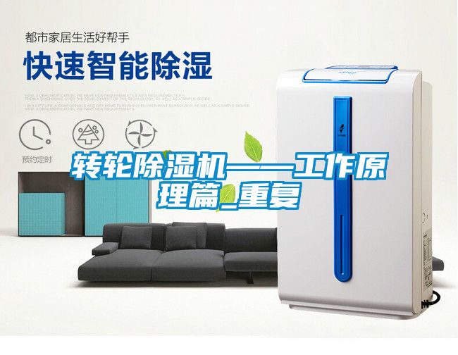 转轮茄子视频懂你更多在线观看——工作原理篇_重复