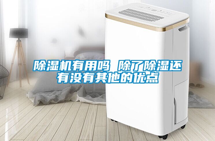 茄子视频懂你更多在线观看有用吗 除了除湿还有没有其他的优点