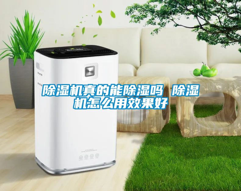 茄子视频懂你更多在线观看真的能除湿吗 茄子视频懂你更多在线观看怎么用效果好