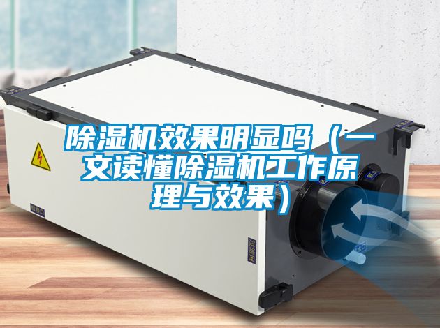 茄子视频懂你更多在线观看效果明显吗（一文读懂茄子视频懂你更多在线观看工作原理与效果）