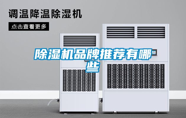 茄子视频懂你更多在线观看品牌推荐有哪些