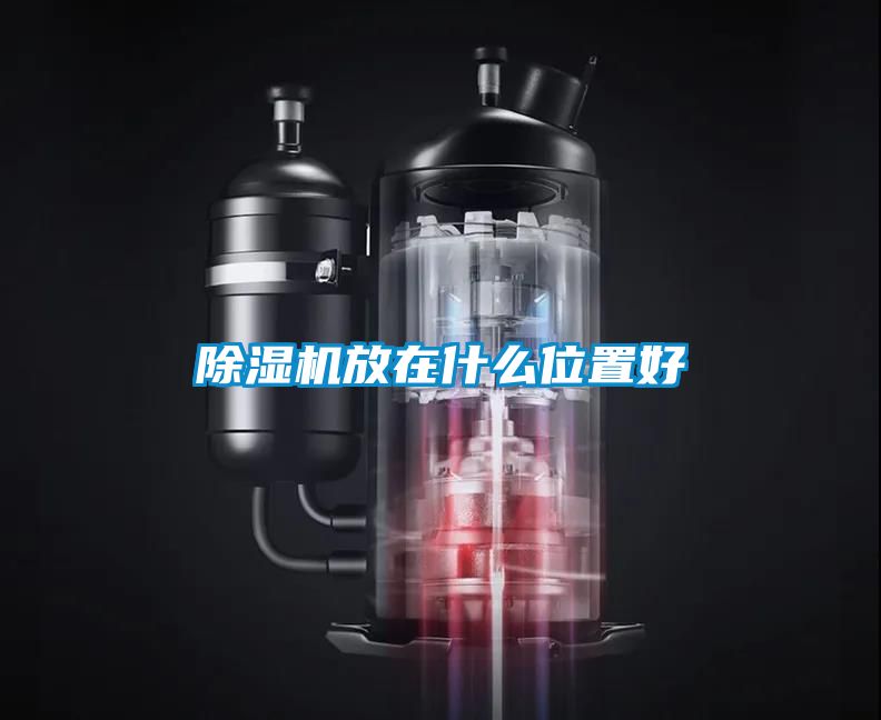 茄子视频懂你更多在线观看放在什么位置好