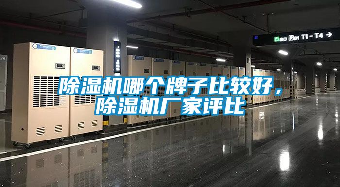 茄子视频懂你更多在线观看哪个牌子比较好，茄子视频懂你更多在线观看厂家评比